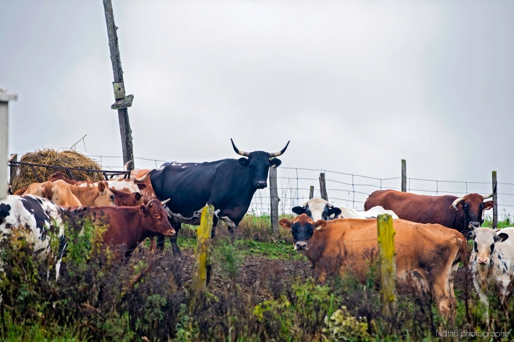 La MARCHE : ouvrir la voie à la relève&nbsp;agricole