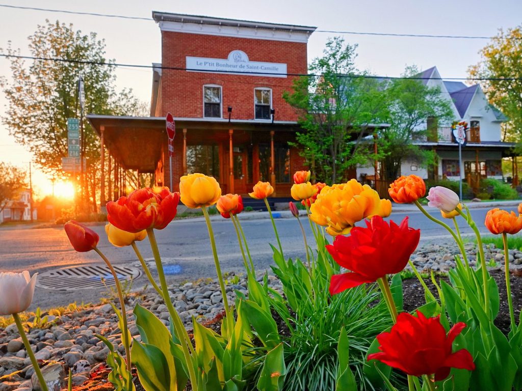 Le P'tit Bonheur de Saint-Camille. Crédit photo: Sylvain Laroche.