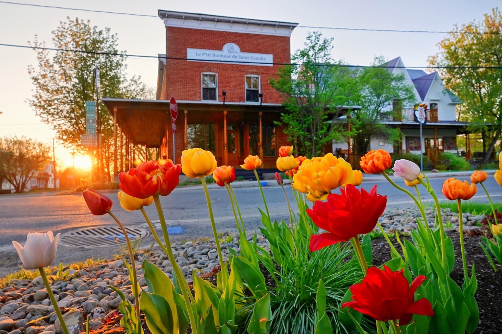 Le P'tit Bonheur de Saint-Camille. Crédit photo: Sylvain Laroche.